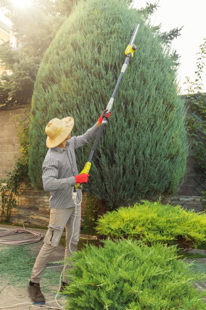 Best Lawn Watering Services  in Garnett, KS